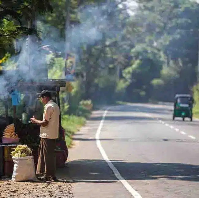 Man selling corn roadside shop, Sri Lanka