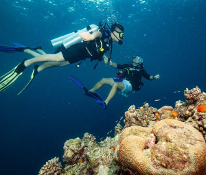 Diving and Snorkeling