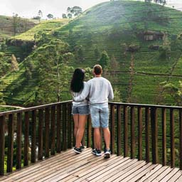 Witness scenic tea fields in Nuwara Eliya