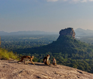 Pidurangala