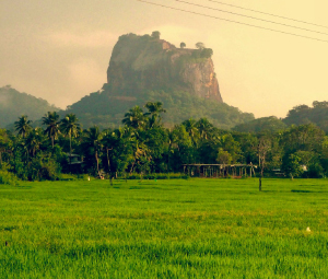 Jungle Trekking – Puranagama (Ancient Village)