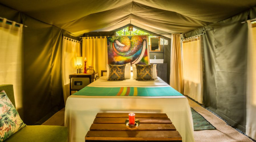 Premium Tent