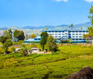 Hadungoda Tea Factory & Galle Fort