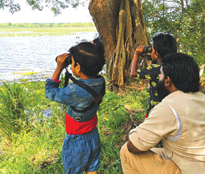 Junior Ranger Program